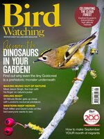 Bird Watching 